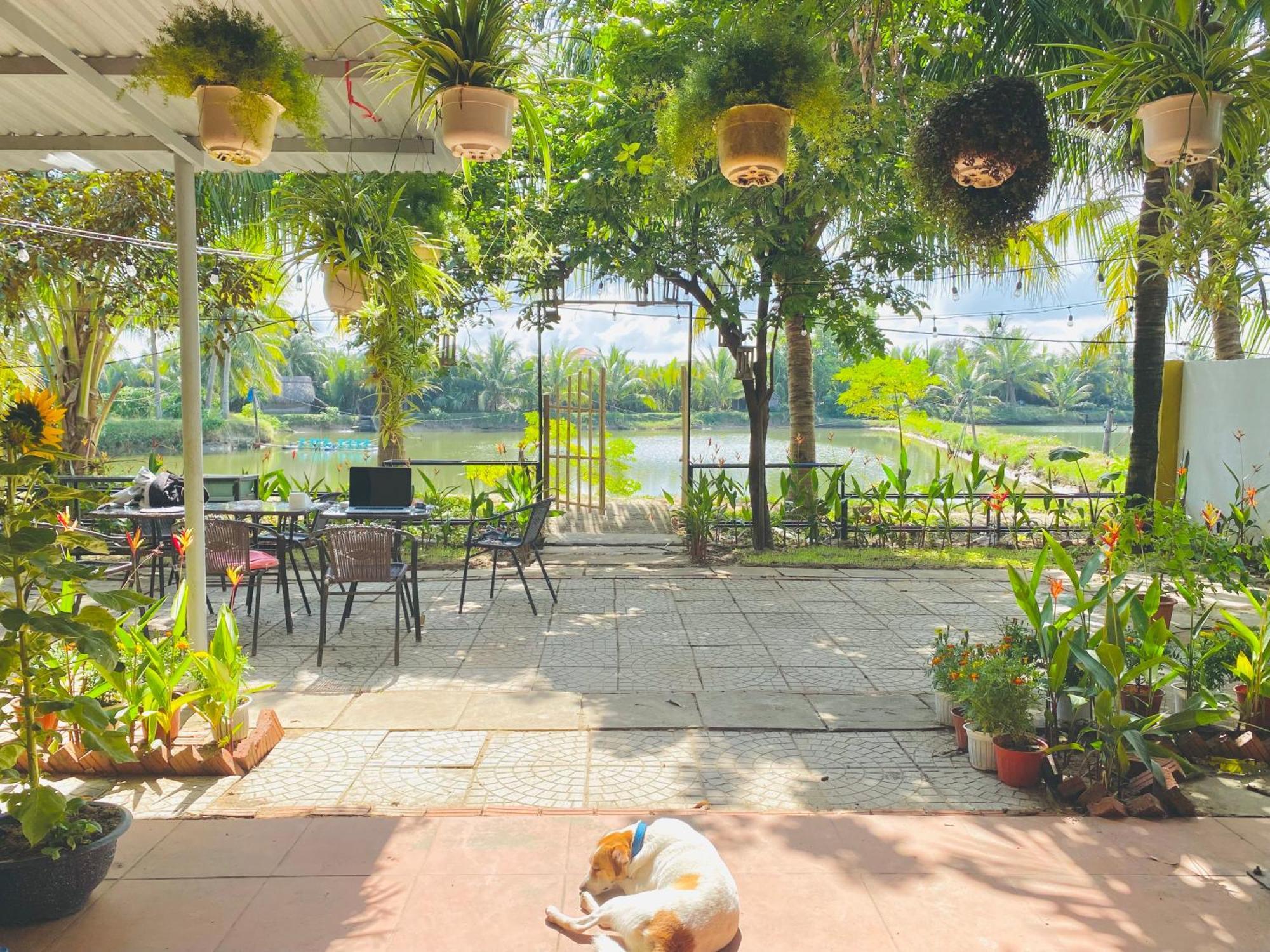 Laoxao Lakeview Homestay Hoi An Exterior foto
